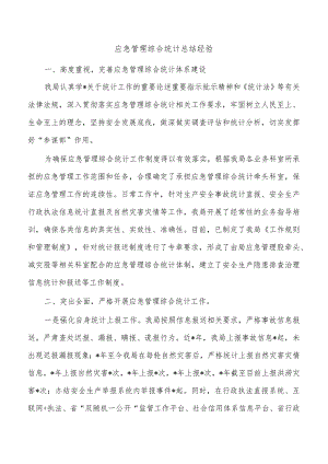 应急管理综合统计总结经验.docx
