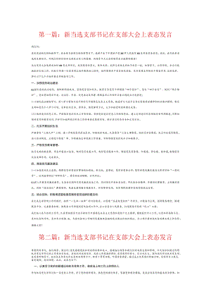 新当选支部书记在支部大会上表态发言7篇.docx