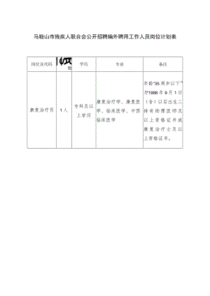 马鞍山市残疾人联合会公开招聘编外聘用工作人员岗位计划表.docx
