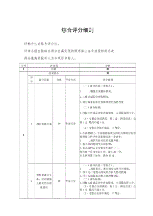 综合评分细则.docx