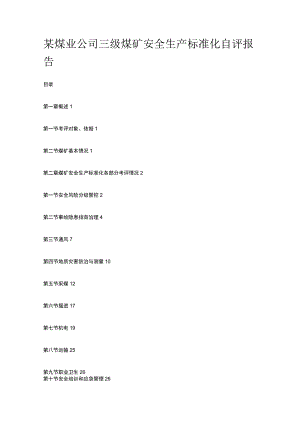 某煤业公司三级煤矿安全生产标准化自评报告.docx