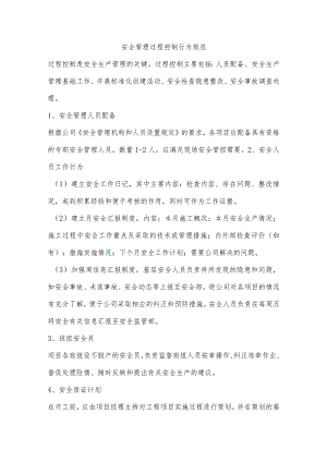 安全管理过程控制行为规范.docx