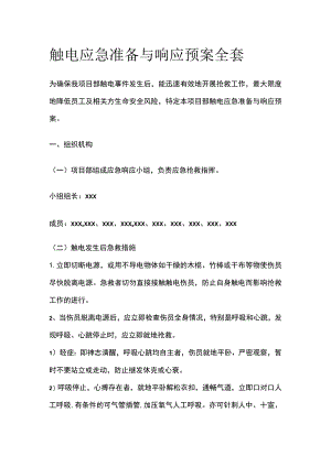 触电应急准备与响应预案全套.docx