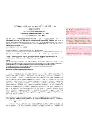 防龋DNA疫苗pVAX1-SG免疫下大鼠乳腺FcRn的表达研究.docx