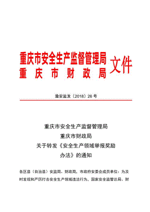 安全生产领域举报奖励办法.docx