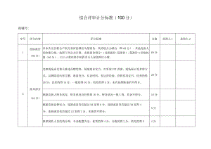 综合评审计分标准100分.docx