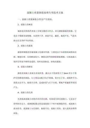 混凝土质量缺陷处理专项技术方案.docx