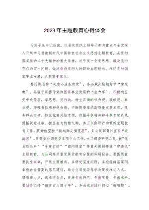 (六篇)公司党支部书记关于2023年主题教育的学习感悟.docx