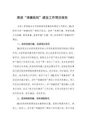 推进“清廉医院”建设工作情况报告十一篇.docx