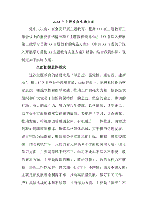 2023年全区主题教育实施方案专项实施方案 （4份）.docx