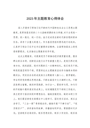 2023年集团公司党支部书记主题教育心得体会九篇.docx