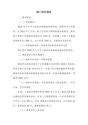 部门评价报告.docx