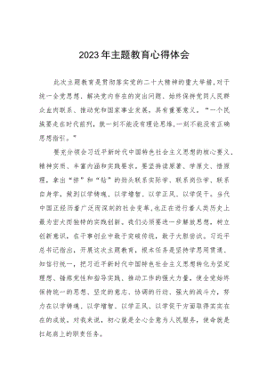 分公司领导关于2023年主题教育心得体会十三篇.docx