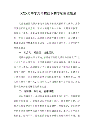 中学九年贯通下的专项阅读规划.docx
