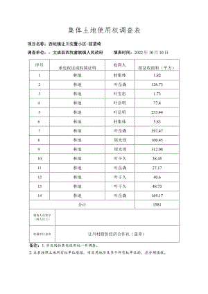 集体土地使用权调查表.docx