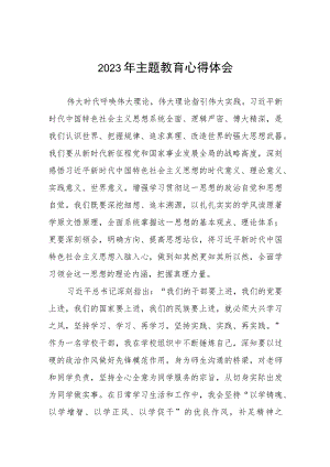 老师关于2023年主题教育心得体会六篇.docx