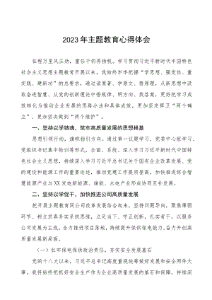 (六篇)供电公司党员干部2023年主题教育心得体会.docx