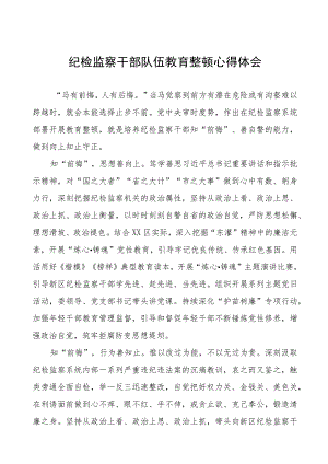 党工委关于纪检监察干部队伍教育整顿心得体会十三篇.docx