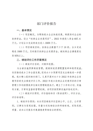 部门评价报告.docx