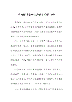 公司学习新《安全生产法》学习心得十三篇.docx