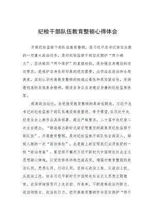 关于2023年纪检干部队伍教育整顿的学习心得体会十三篇.docx