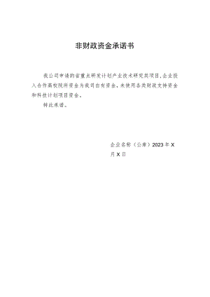 非财政资金承诺书.docx