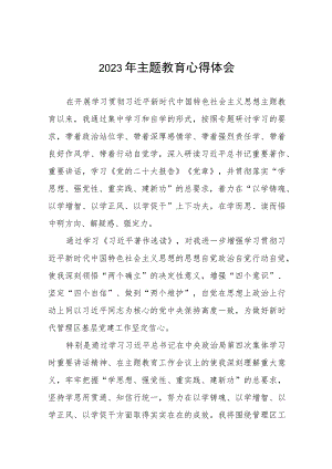 电力公司党支部书记2023年主题教育心得体会十三篇.docx