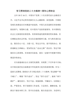 2023年公安民警学习贯彻《党的二十大精神》一周年个人心得体会合计5份.docx