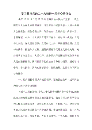 2023年刑侦支队长学习贯彻《党的二十大精神》一周年个人心得体会合计8份.docx