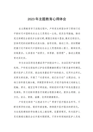 医生党员2023年主题教育心得体会六篇.docx