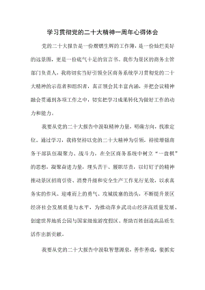 2023年乡镇党委书记学习贯彻党的二十大精神一周年个人心得体会.docx