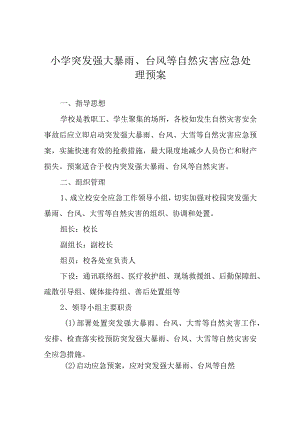 小学突发强大暴雨、台风等自然灾害应急处理预案.docx