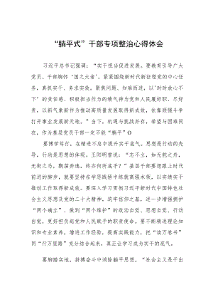 乡镇躺平式干部专项整治心得体会十三篇.docx