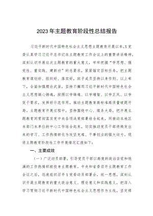 关于2023年开展主题教育阶段性总结报告(九篇).docx