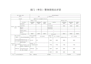 部门单位整体绩效自评表.docx