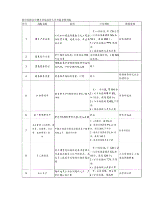 股份有限公司财务总监高管人员关键业绩指标.docx