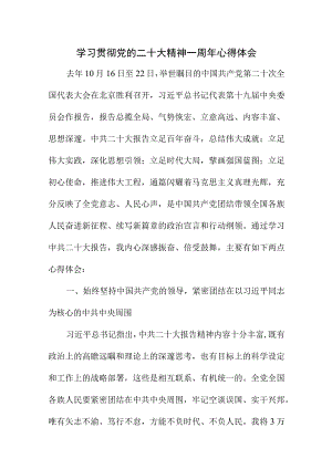 2023年党支部书记学习贯彻党的二十大精神一周年心得体会.docx