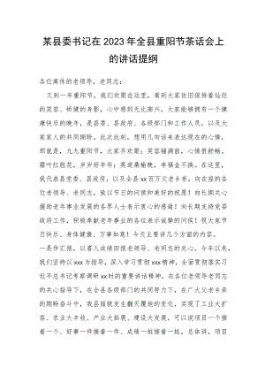 县委书记在2023年全县重阳节茶话会上的讲话提纲.docx