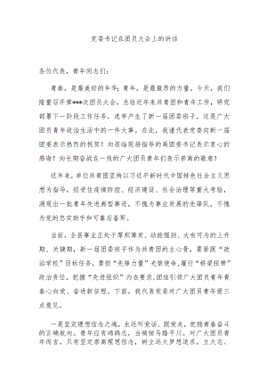 党委书记在团员大会上的讲话.docx
