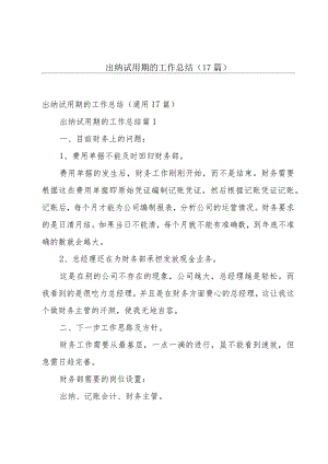 出纳试用期的工作总结（17篇）.docx