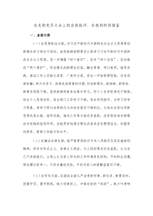 在支部党员大会上的自我批评、自我剖析供借鉴.docx