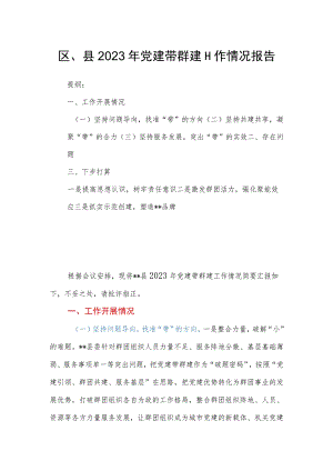 区、县2023年党建带群建工作情况报告.docx