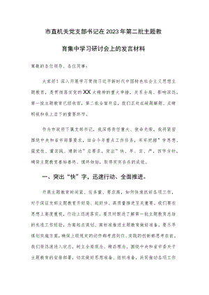 2023年第二批主题教育集中学习研讨会上的心得体会交流发言材料范文4篇.docx