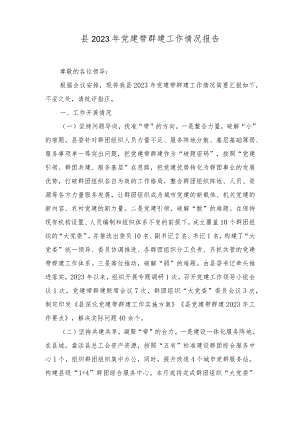 （2篇）县2023年党建带群建工作情况报告+我国首次载人飞行任务成功20周年神舟五号飞船首次进入太空心得体会.docx