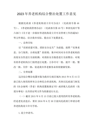 2023年养老机构综合整治处置工作意见.docx