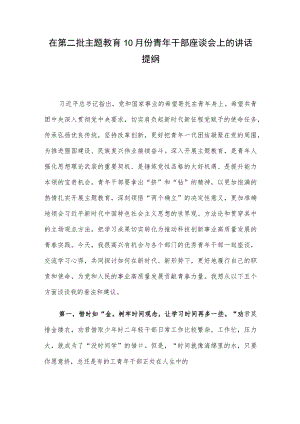 在第二批主题教育10月份青年干部座谈会上的讲话提纲.docx