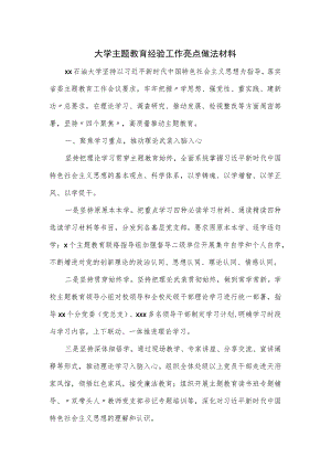 大学主题教育经验工作亮点做法材料.docx