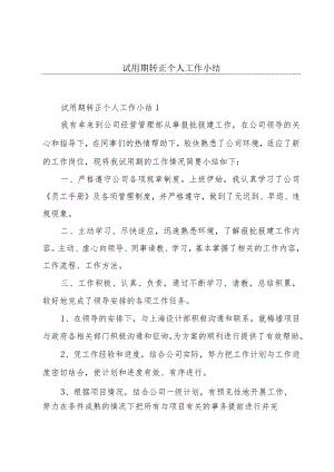 试用期转正个人工作小结.docx