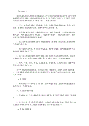 党支部各项规章制度范文.docx