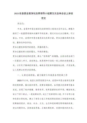 2023在县委全面深化改革领导小组第五次全体会议上讲话范文.docx